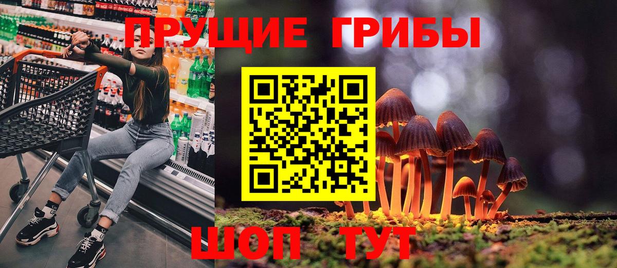 Галлюциногенные грибы прущие грибы Советский